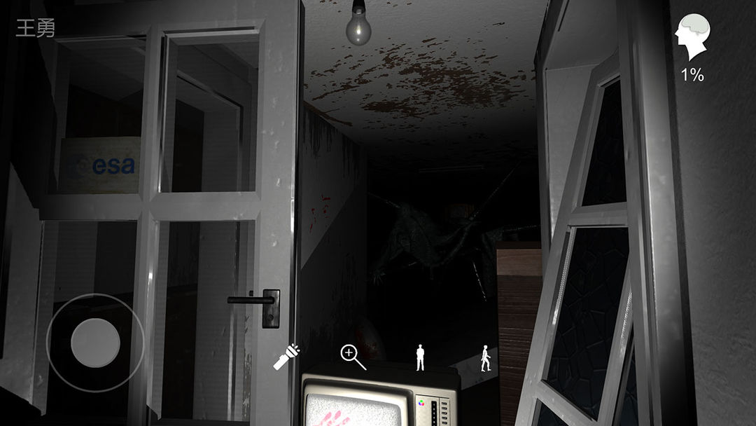 孙美琪疑案:王勇